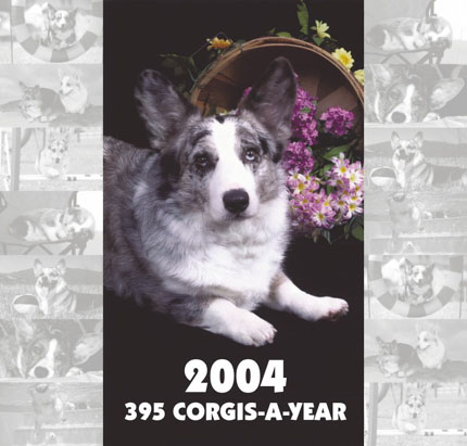 395 Corgis-a-Year Calendar